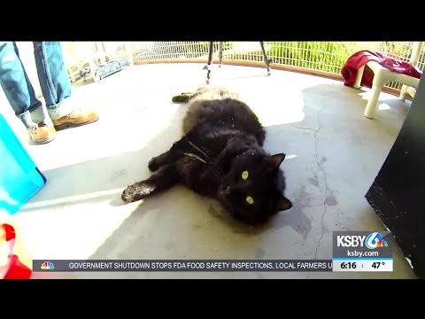 Pet Tales: Meet Makai