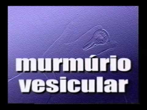 Propedêutica de Enfermagem 05 - Exame do Tórax e Aparelho Respiratório - PARTE 2