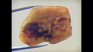 Baltský jantar P-9