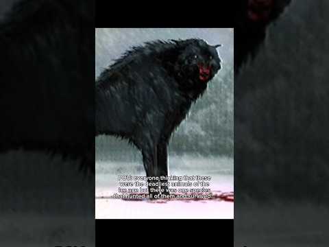 The deadliest species of the ice age… #prehistoric #iceage #humans #homosapien #evolution #history