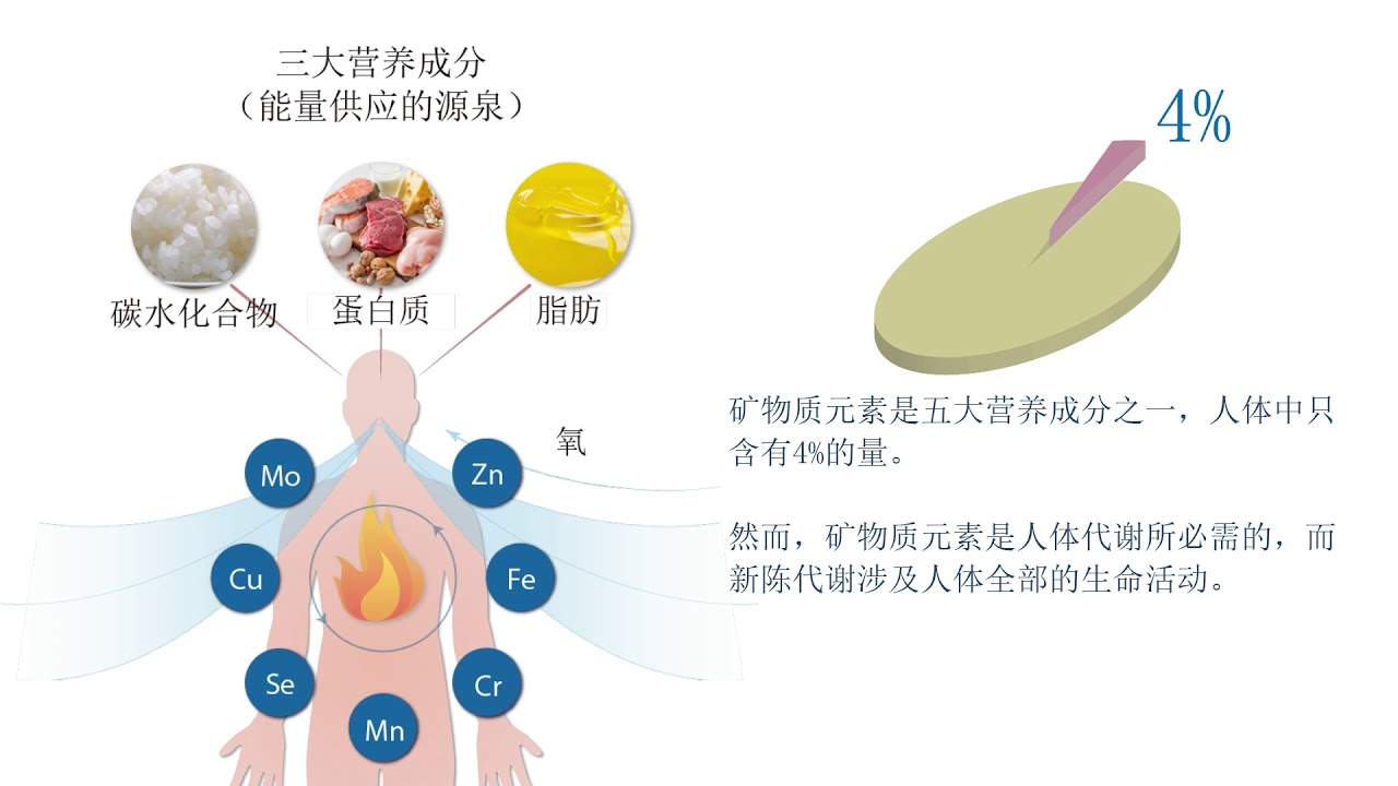 从头发了解身体的秘密  毛发矿物质检查  日本La Belle Vie预防医学研究所