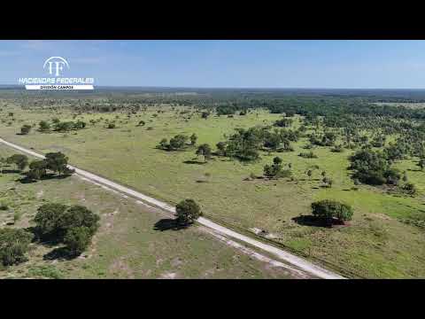 Estancia La Clorinda en venta | 15.550 hectáreas ganaderas en Formosa | Haciendas Federales