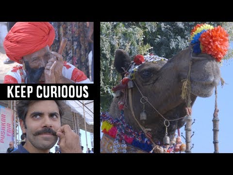 The amazing PUSHKAR FAIR FESTIVAL - 2018 - RAJASTHAN/INDIA - KEEP CURIOOUS