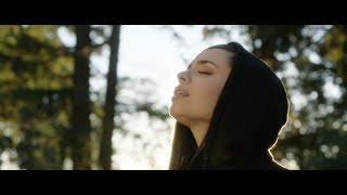 Alan Walker, Sofia Carson, K-391, Corsak - Different World