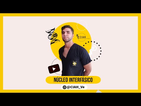 Núcleo interfásico | CIAH