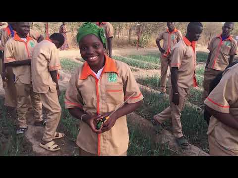 Fish farming activity to pay for school fees