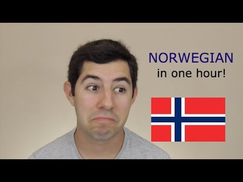 Can I Learn Norwegian in ONE Hour?