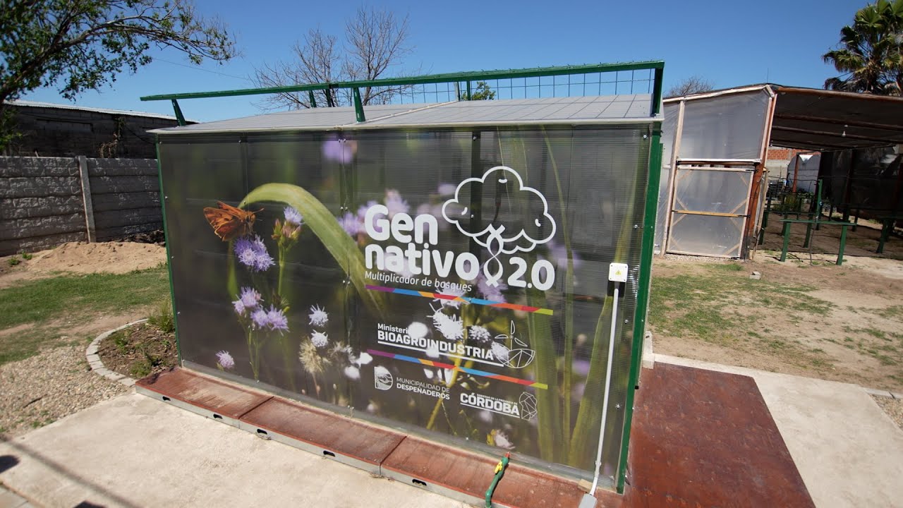 Gen Nativo: Cómo funciona el “multiplicador” de árboles para forestar campos cordobeses