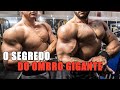 TREINO DE OMBROS | QUERO SER UM BODYBUILDER