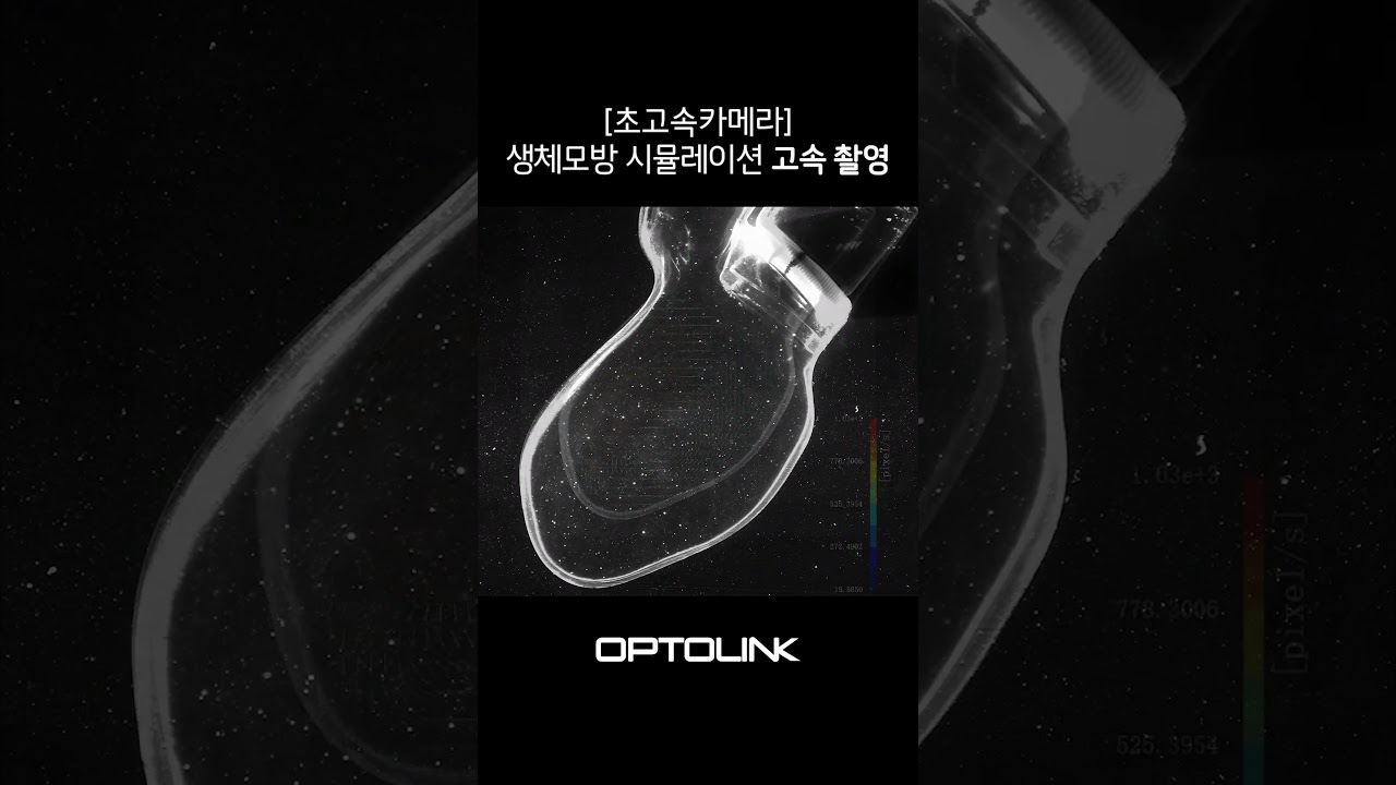 생체모방 혈류 시뮬레이션 고속 촬영 영상 썸네일