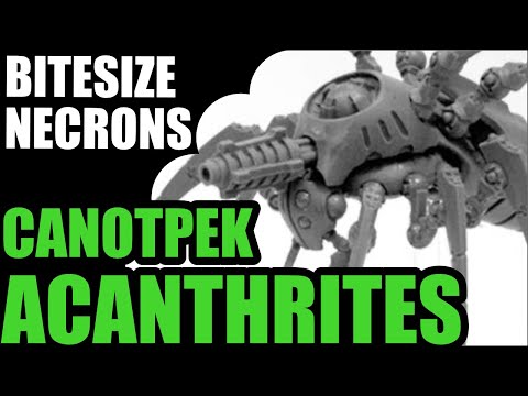 Canoptek Acanthrites - Bitesized Necrons - 9th Edition Review