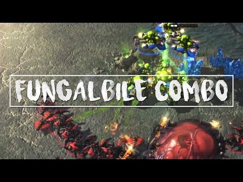 Spotlights 6: Fungal-Bile Combo - Starcraft II Highlights