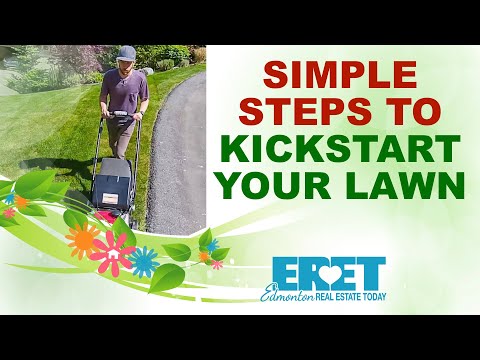 Fix an ugly lawn fast | Seeding Fertilizing Watering