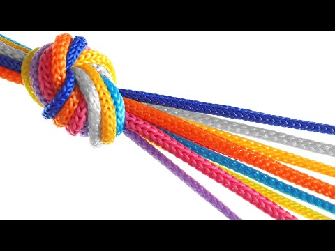 Soziales Vertrauen – Gesellschaftlicher Zusammenhalt