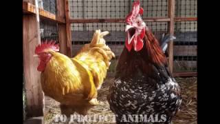 Here's to a brighter 2017