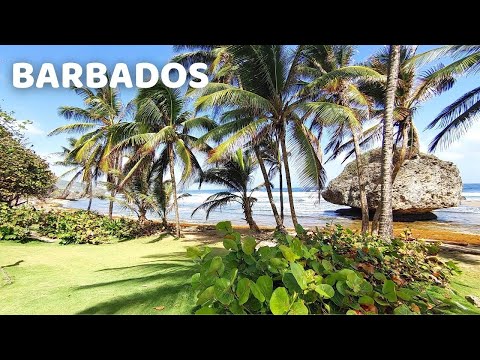 Experience the Island of Barbados | Visit 8 Beaches on Barbados | Things To Do in Barbados