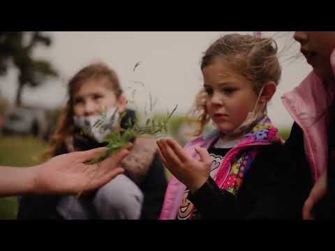 Proyecto Siempre Nativas de Jane Goodall Argentina