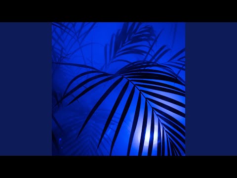 What I Could Do for You