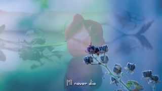 Only when I sleep - The Corrs - Lyrics on screen