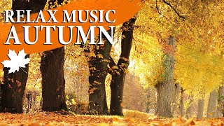 Meditation Music Autumn
