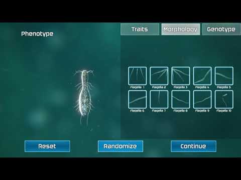 Bionix: Spore Evolution Sim 3D video