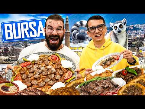 Tuna Tavus and Mendebur Lemur