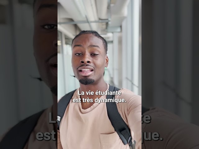Le baccalauréat en informatique et génie logiciel de l’UQAM