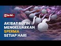 RUTIN MENGELUARKAN SPERMA SETIAP HARI