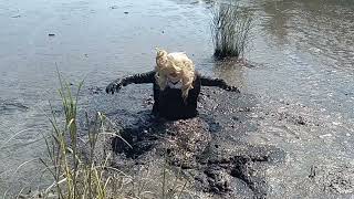 (ORIGINAL) Ann Takamaki Cosplay Quicksand Sink (LadyofMud)