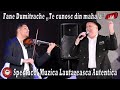 Fane Dumitrache Fratii Creasta Florica Sandor Spectacol Muzica Lautareasca Autentica 2022 Live