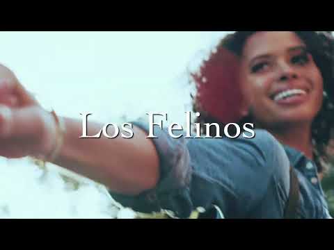 Los Felinos – Lápiz Labial (Video Oficial)