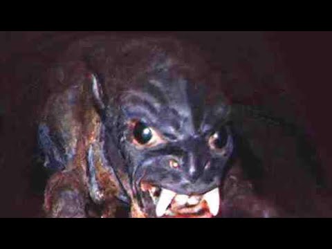 Stypheryt - Stypheryt - Čupakabra