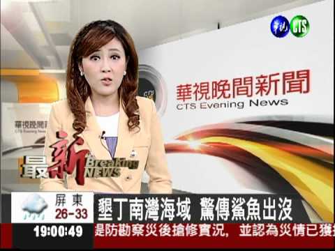 墾丁南灣海域 驚傳鯊魚出沒