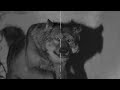 Agriculture Dan S Love Song Official Visualizer