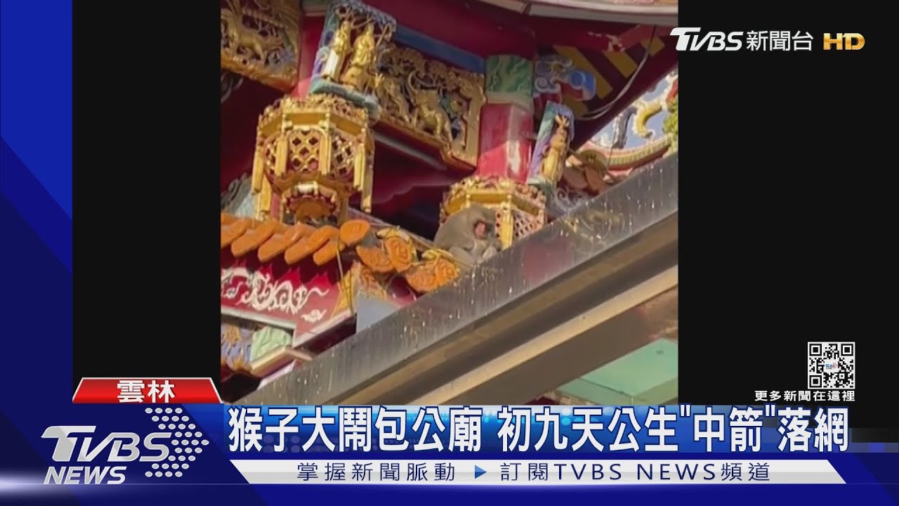 猴子大鬧包公廟 初九天公生「中箭」落網