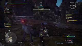 初心者が適当にMHWをやる