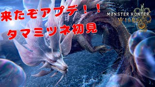 【モンハンワイルズ】アプデ来た！タマミツネ初見いくぞおお