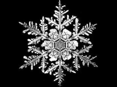 Black Snow - Padidinta doze