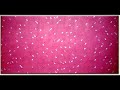 Larry Poons