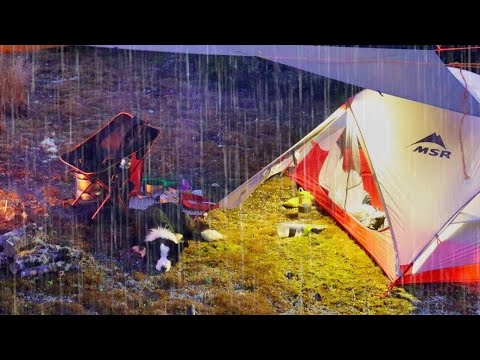 , title : 'CAMPING in RAIN - Heavy rain, tent and tarp'
