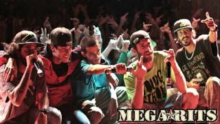 Cone Crew Diretoria - Rainha da Pista