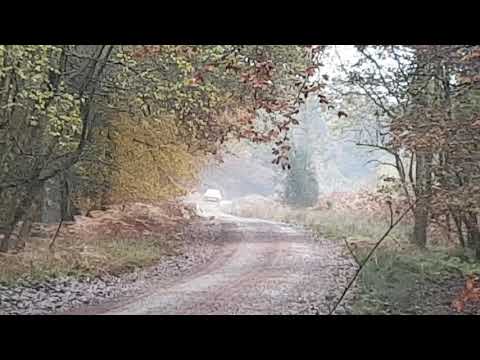 Wyedean rally 2019 stage 6 ( i think )(1)