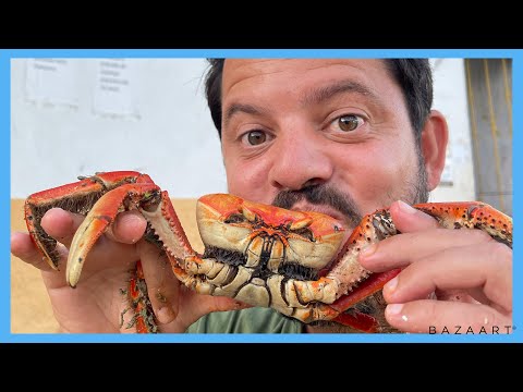 48 HORAS de comilança feroz em PORTO SEGURO - Bahia | Rio4Fun