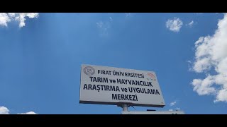 Fırat Üniversitesi Tarım ve Hayvancılık Araştırma ve Uygulama Merkezi(TAHAM) Tan