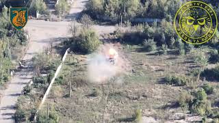 Николаевские морпехи показали видео работы своих «сов» (видео)