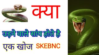 क्या उड़ने वाले सांप होते हैं,, ज्ञान वर्धक सही बात