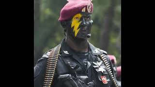 Download lagu jedag jedug versi TNI/KOPASSUS mp3