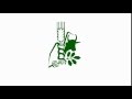 EIAR Intro