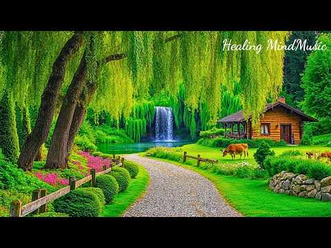 Beautiful Relaxing Music for the Soul 🌿Calming Music & Nature Sounds for Deep Sleep & Peace