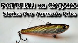 Ратлин зимний страйк про